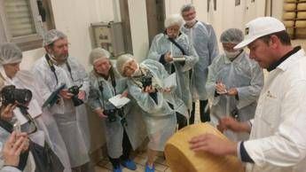 Stop a imitazioni, Parmigiano Reggiano dà 'lezione' all'Expo Stop a imitazioni, Parmigiano Reggiano dà 'lezione' all'Expo